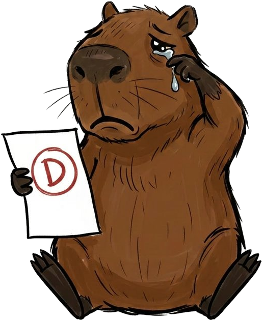 Sad capybara with a D grade